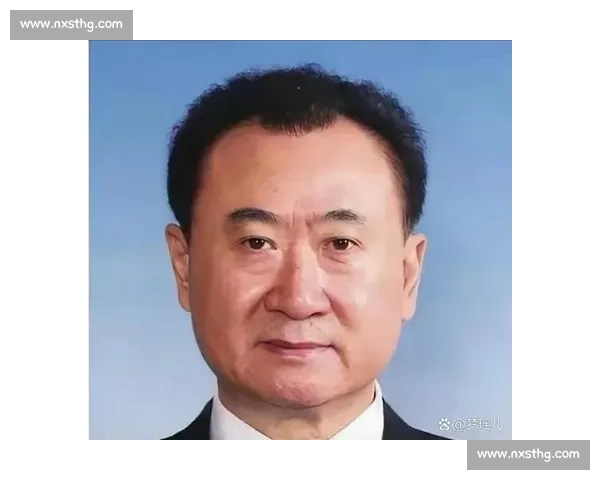 许家印对决王健林地产大佬命运分岔与时代沉浮录中国商业风云观察